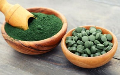 Spirulina Nedir? Spirulina Tozu Nedir? Spirulina Powder Nedir? (Spirulina Platensis)