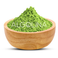 Toptan Matcha
