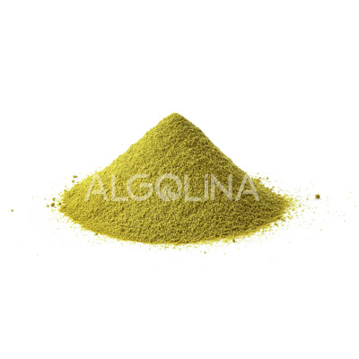 Algolina Matcha Yerli Üretim 2,5 KG Doypack