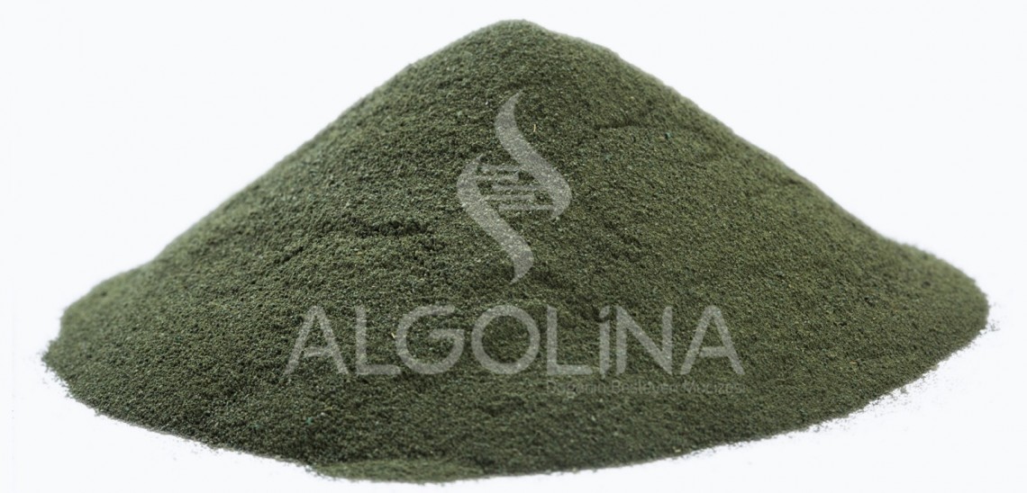 What is Spirulina? What is Spirulina?